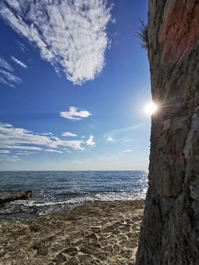 Lara Deluxe Superior 5 Star Apartment, Your Piece Of Heaven By The Sea & Park Novigrad Istria エクステリア 写真